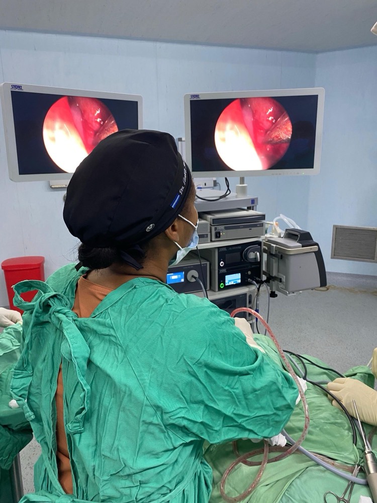La Dra. Lizabeth en quirófano frente a los monitores de endoscopia